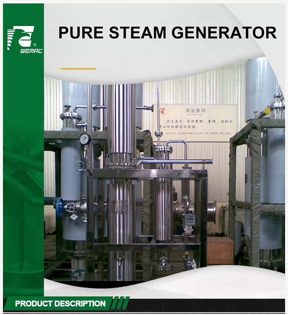 100-500L pure steam generator